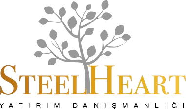 SteelHeart Yatırım Danışmanlığı
